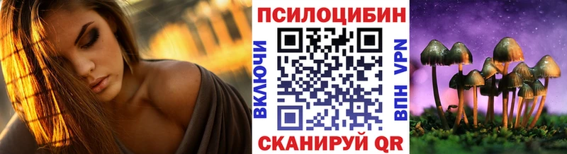 OMG как зайти  Дрезна  Псилоцибиновые грибы мухоморы 
