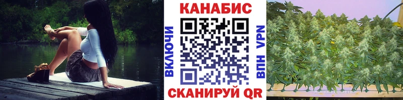 мега ссылки  Дрезна  МАРИХУАНА OG Kush  наркошоп 